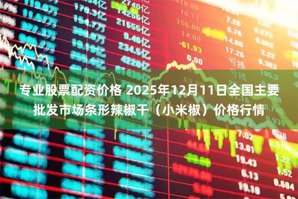 专业股票配资价格 2025年12月11日全国主要批发市场条形辣椒干（小米椒）价格行情